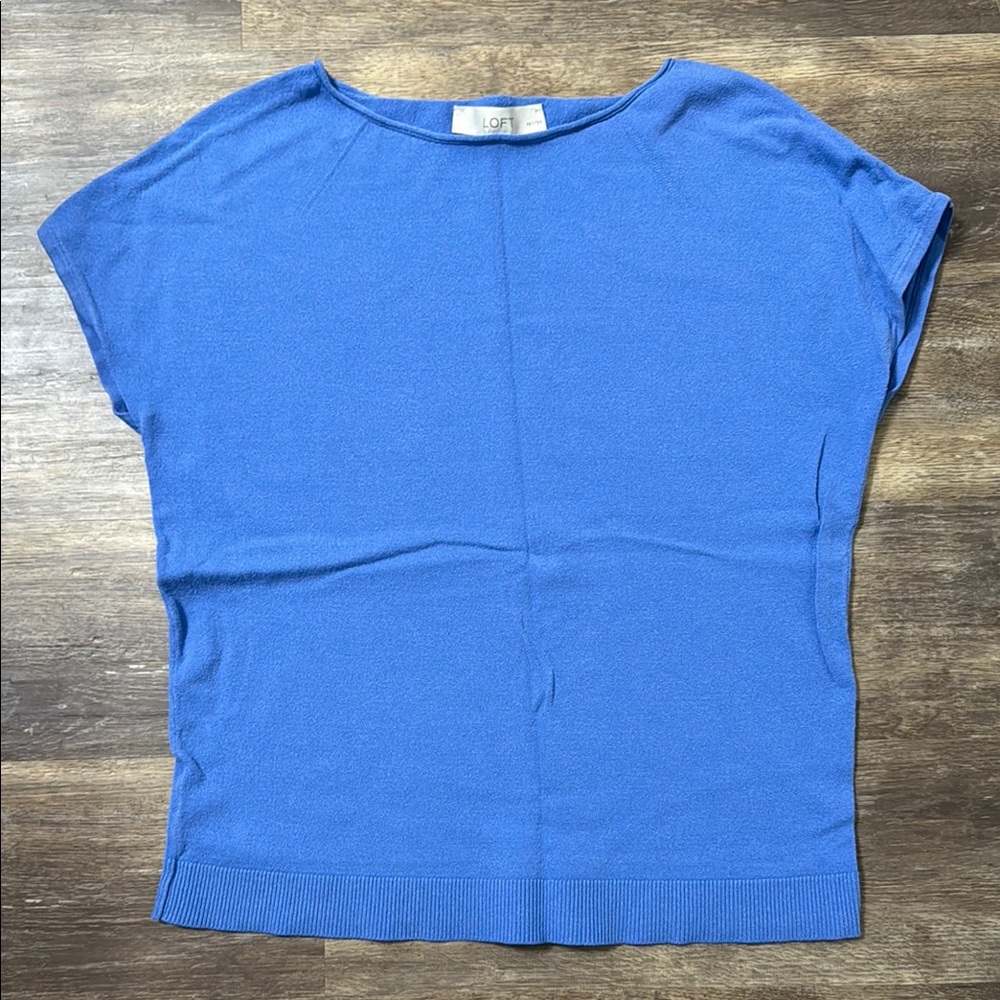 LOFT Women's Blue Sleeveless Sweater Top